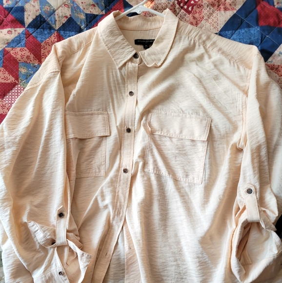 Banana Republic Workwear Sheer Roll-Sleeve Button Down - Picture 1 of 3
